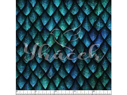 YH 2024 26 modr prav 01