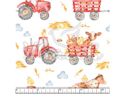 YH 2024 27 bil prav 01