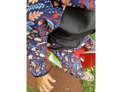 Softshellová bunda Yháček, podzim, Barvy podzimu na navy