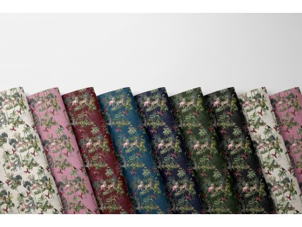 Softshell s beránkem, Tajemná džungle