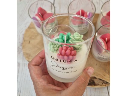 Sójová svíčka AMI LUMEA, Sukulenty s vůní ovoce