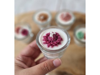 Sójová svíčka AMI LUMEA, Slunečnice fialová