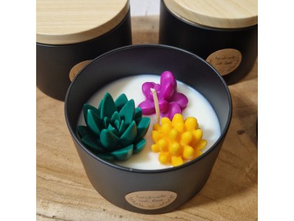 Sójová svíčka AMI LUMEA, Sukulenty 1