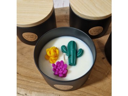 Sójová svíčka AMI LUMEA, Sukulenty 2