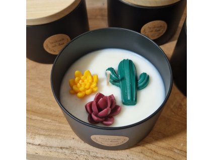 Sójová svíčka AMI LUMEA, Sukulenty 3