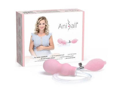 Aniball CZ Pink