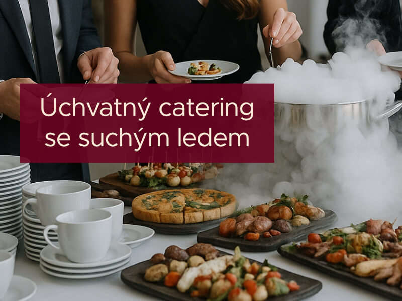 Suchý led pro catering