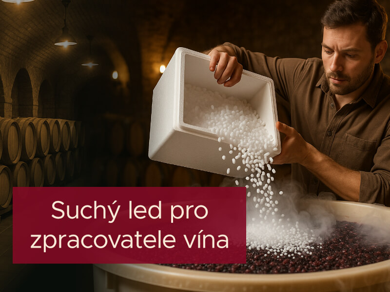 Suchý led pro zpracovatele vína