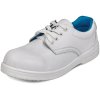 RAVEN S2 SRC polobotka a