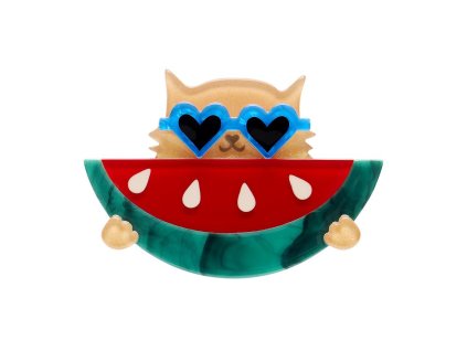 Sunnies & Seeds Brooch new 1