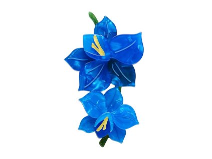 Opulent Orchidaceae Brooch 1