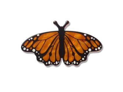 Monarch Butterfly 1