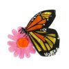A Butterfly Named Flutter