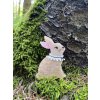 Dainty Bunny Erstwilder Brooch