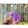 Erstwilder Elizaveta and the Elephant Brooch