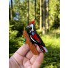 The Persistent Pileated Woodpecker Erstwilder Brooch