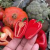 Capsicum Crush Erstwilder Brooch
