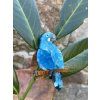 Glaucous Macaw Erstwilder Brooch