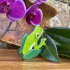 Buckley’s Giant Glass Frog Erstwilder Brooch