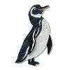 Galapagos Penguin Brooch 1