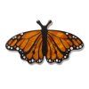 Monarch Butterfly 1