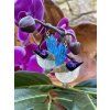 Purple-Crowned Fairy Wren Erstwildee Earrings