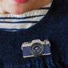 picture perfect brooch