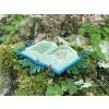 The Magic Faraway Tree Book Erstwilder Brooch