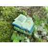 The Magic Faraway Tree Book Erstwilder Brooch