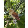 Erstwilder brož Barny Owl