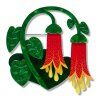BHEM103 Common Correa Brooch 1