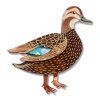 BHEM115 Pacific Black Duck Brooch 1