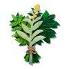 BHEM121 Herbarium Bundle Brooch 1