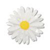 EBEM101 Cut leaf Daisy Simplified Mini Brooch 1