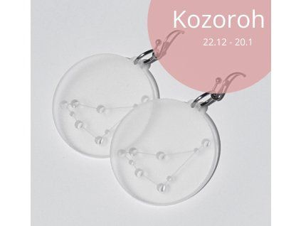 Náušnice souhvězdí kozoroh