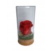 Stabilizovaná ruža v skle