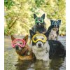 hundebrille neon farben