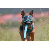 Hundebrille rexspecs groesse LAPKPzUhRL8zHb