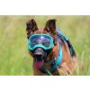Hundebrille rexpecs