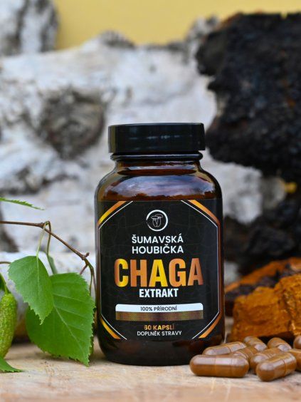 Chaga extrakt Šumavská houbička kapsle 90 ks