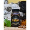 Chaga extrakt Šumavská houbička kapsle 60 ks