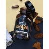 Chaga extrakt Šumavská houbička kapsle 90 ks
