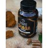 Chaga extrakt Šumavská houbička kapsle 90 ks