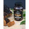 Chaga extrakt Šumavská houbička kapsle 90 ks