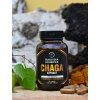 Chaga extrakt Šumavská houbička kapsle 90 ks