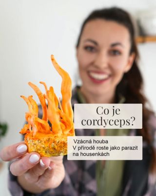 Cordyceps je houba, která mi dodává energii na sport, na práci, na děti, na domácnost i na postelové hrátky 😍 Koupíš na...