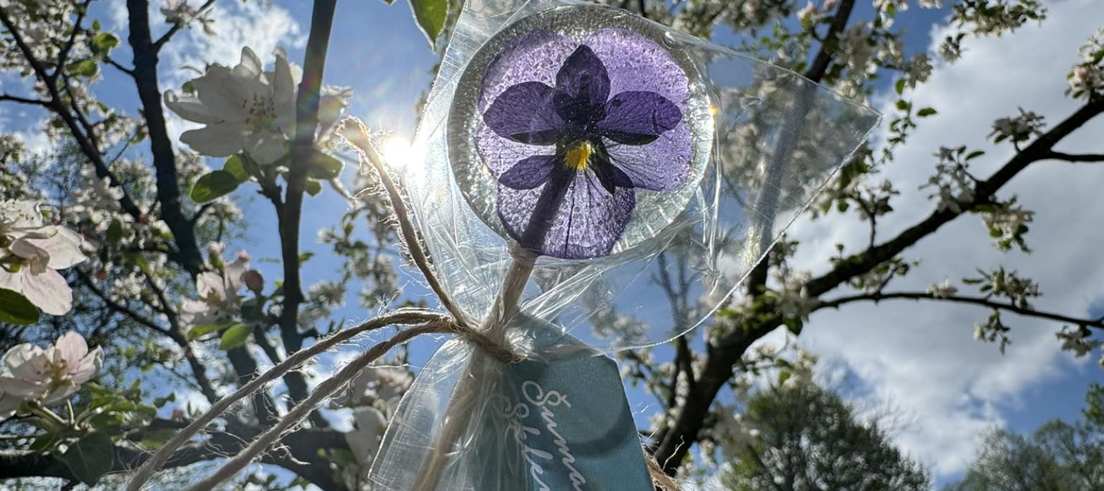 Skleněnky květinové