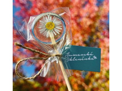 Snímek obrazovky 2025 04 22 170347