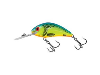 6 5 cm 20 g (1)