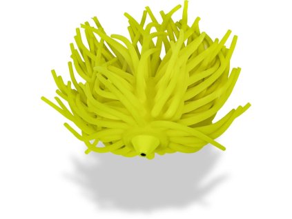 160 g (1)